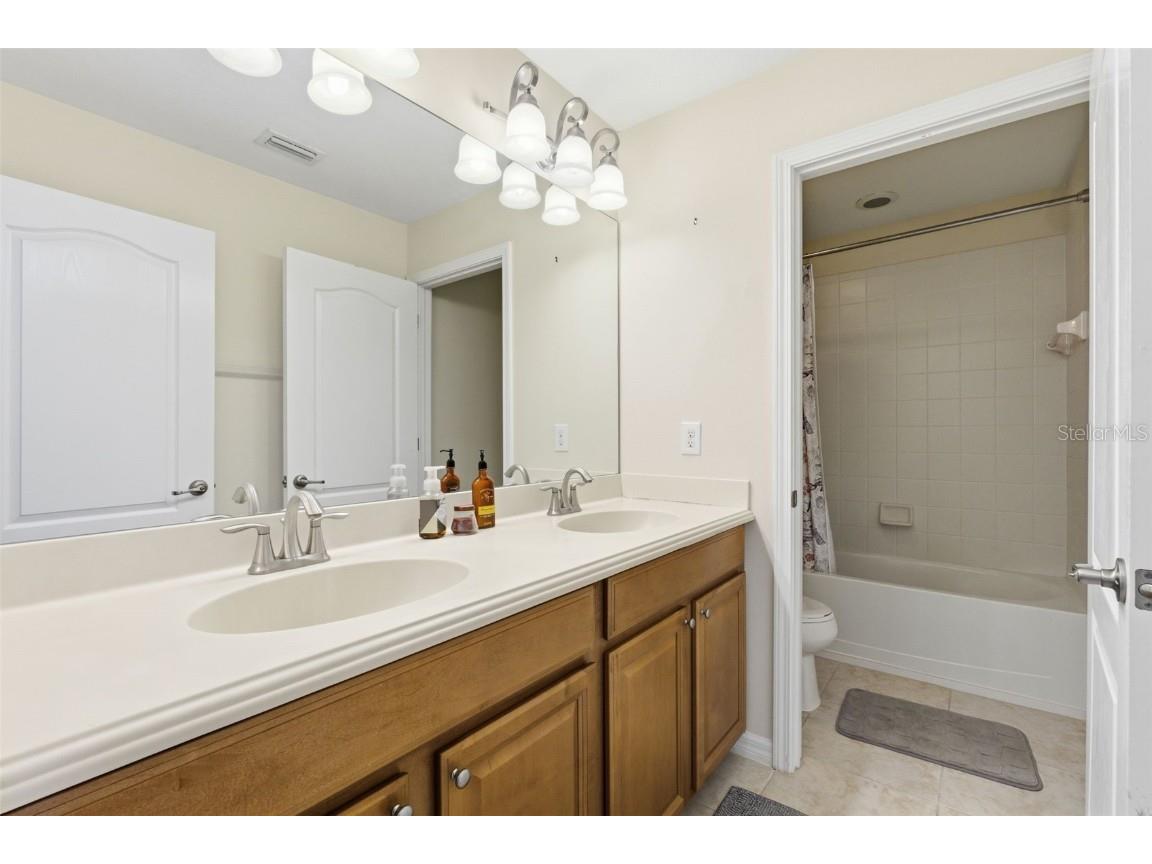 13801 Chalk Hill Place Riverview FL 33579 TB8453494 image27