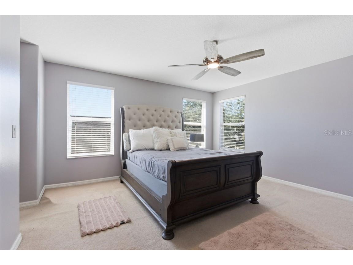 13801 Chalk Hill Place Riverview FL 33579 TB8453494 image28