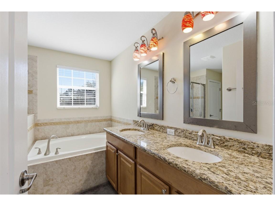 13801 Chalk Hill Place Riverview FL 33579 TB8453494 image31