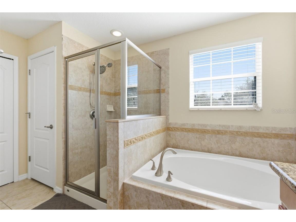 13801 Chalk Hill Place Riverview FL 33579 TB8453494 image32