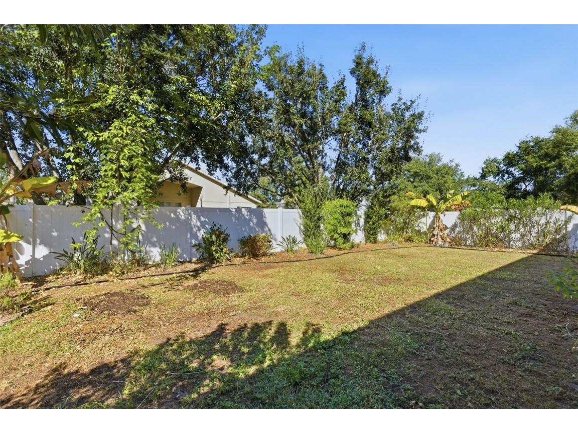 13801 Chalk Hill Place Riverview FL 33579 TB8453494 image37