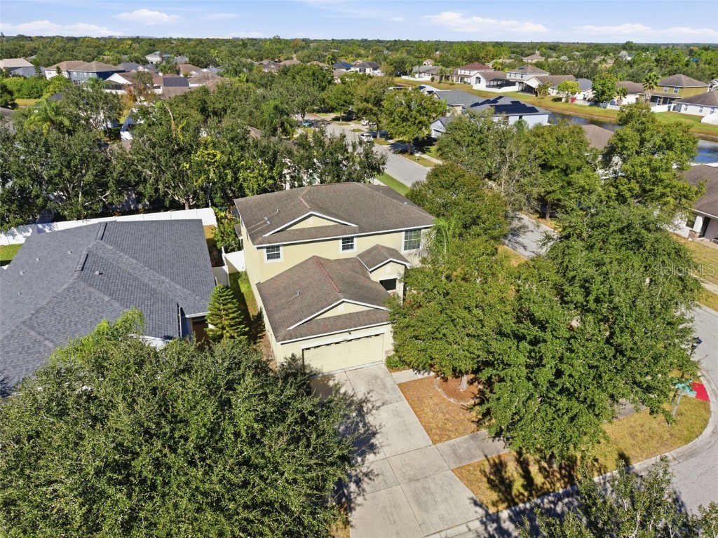 13801 Chalk Hill Place Riverview FL 33579 TB8453494 image38