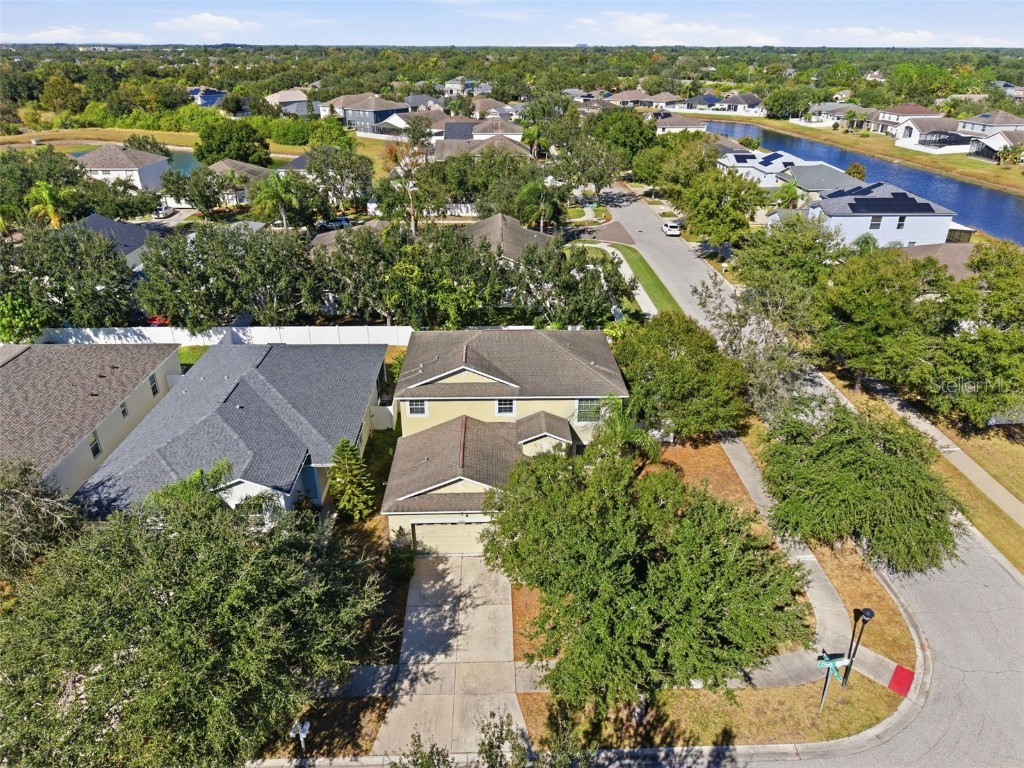 13801 Chalk Hill Place Riverview FL 33579 TB8453494 image40