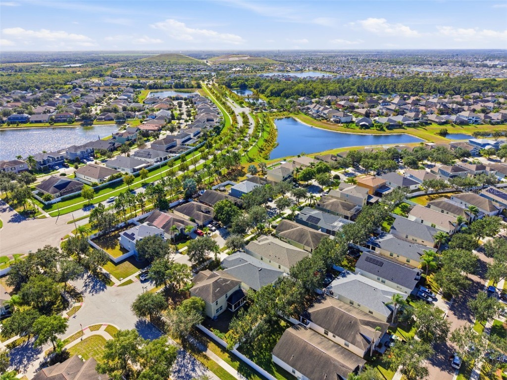 13801 Chalk Hill Place Riverview FL 33579 TB8453494 image49