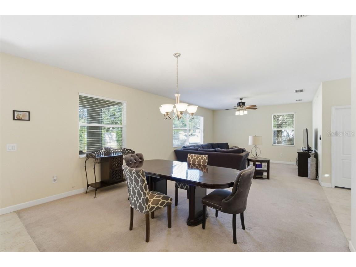 13801 Chalk Hill Place Riverview FL 33579 TB8453494 image8