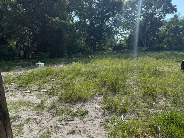 13801 N 21st Street Tampa FL 33613 TB8509579 image2