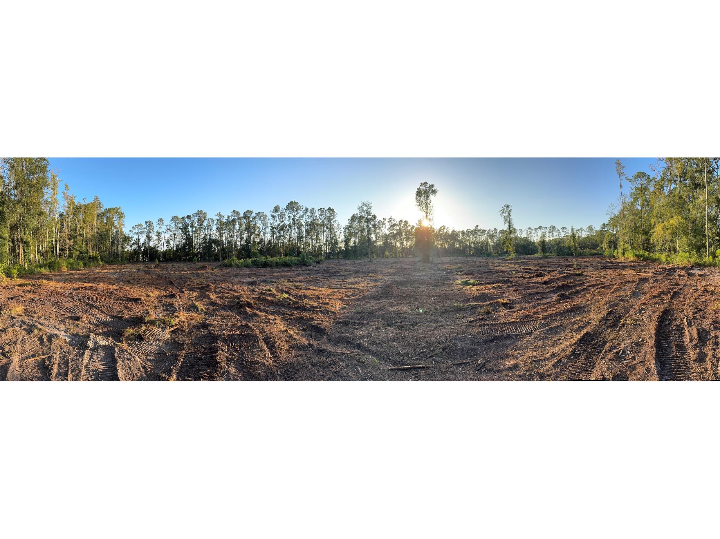 13802 Rockridge Road Lakeland FL 33809 L4956129 image1