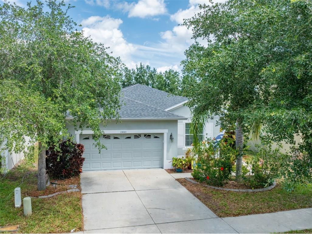 13803 Chalk Hill Pl Riverview FL 33579 TB8390360 image1