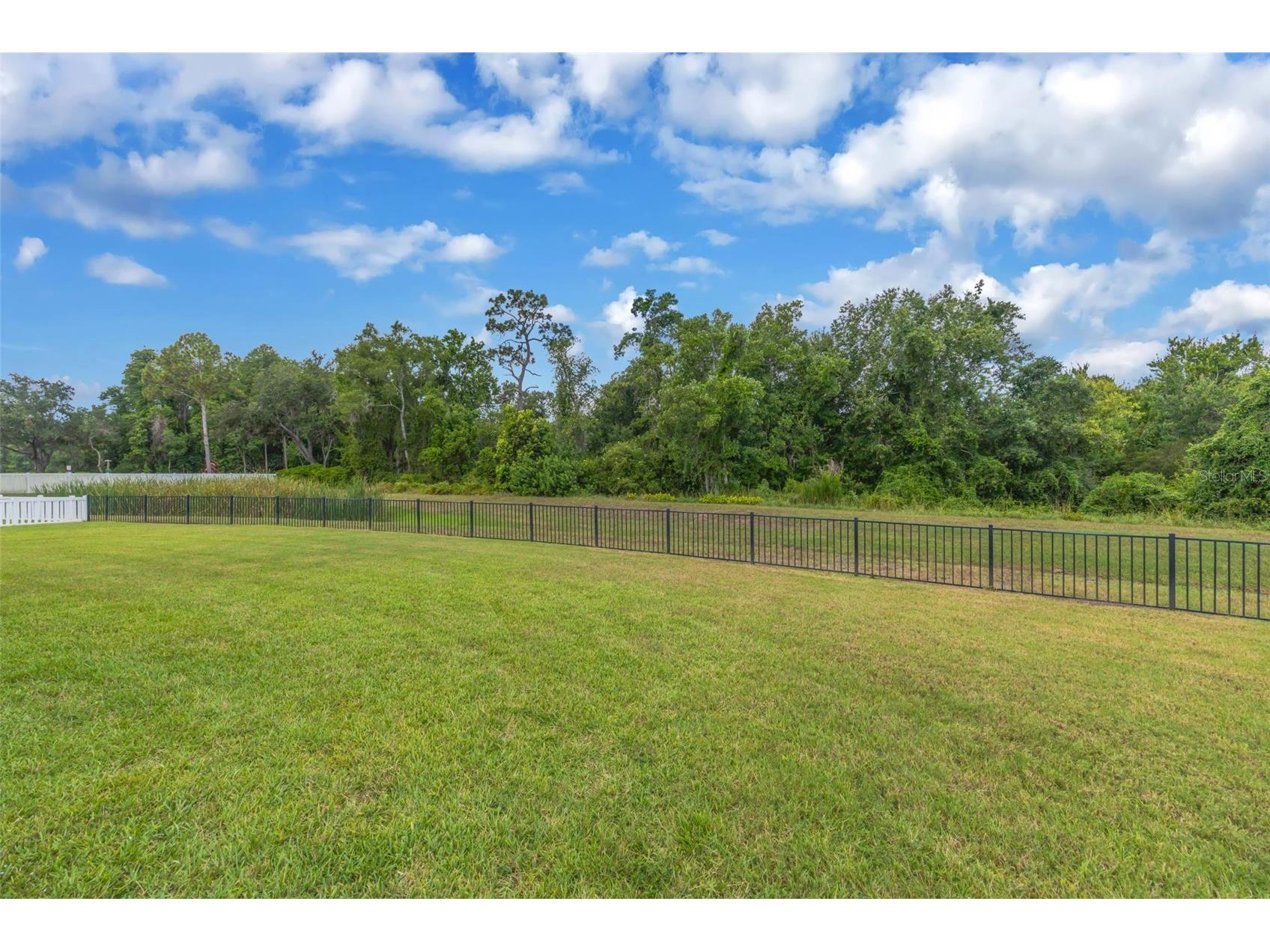 13804 Fairway Bunker Drive Tampa FL 33626 TB8527087 image46