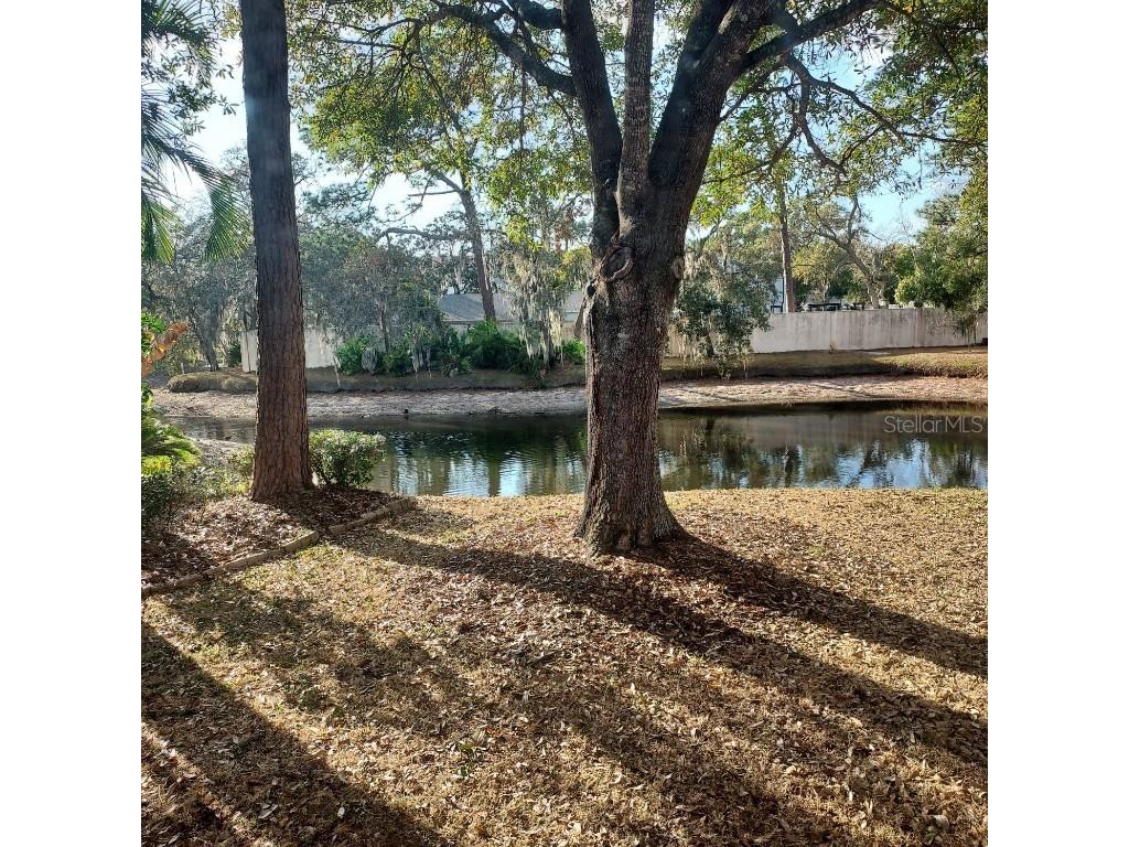 13804 Lazy Oak Drive Tampa FL 33613 TB8455128 image15