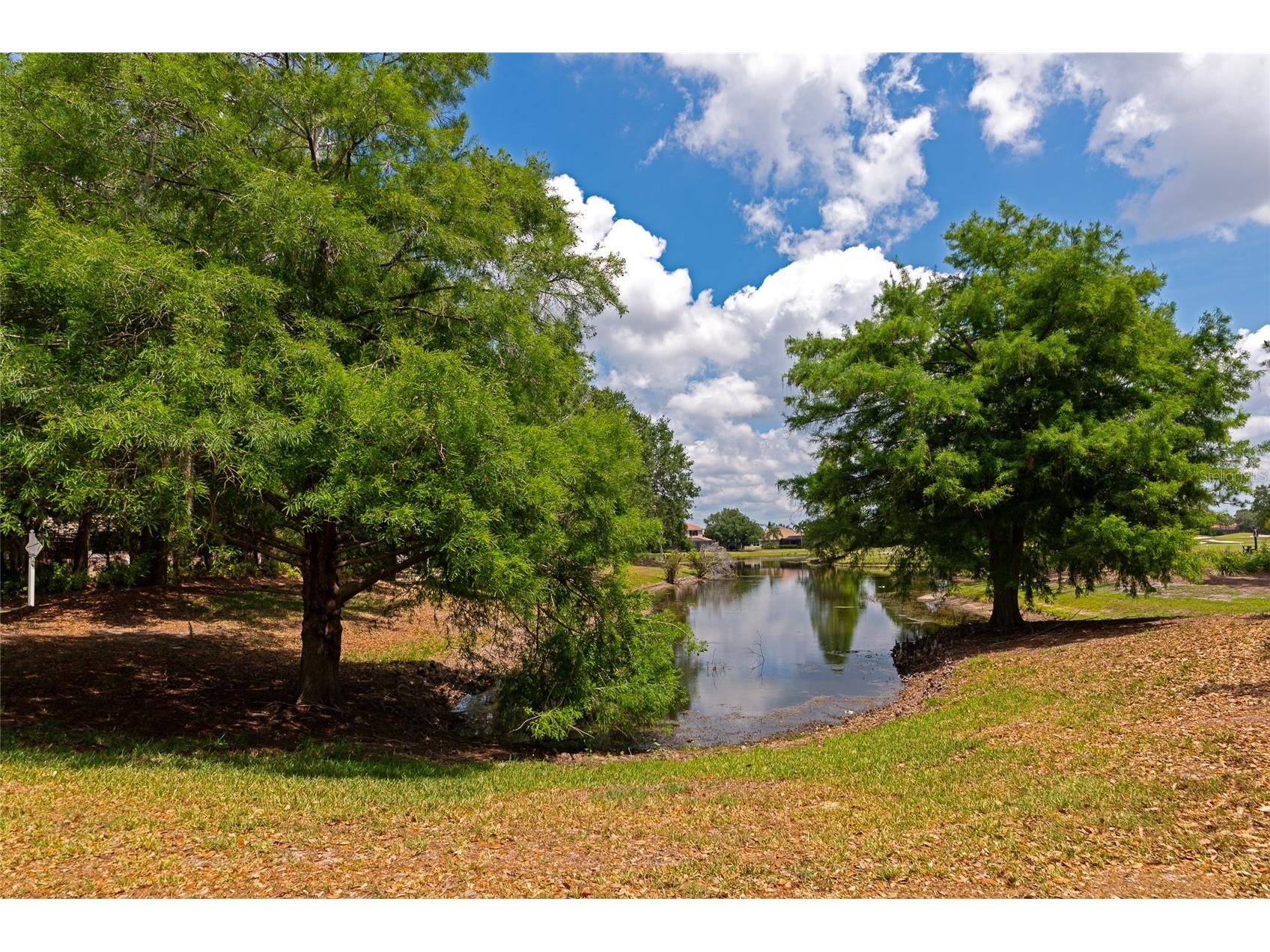 13804 Siena Loop Lakewood Ranch FL 34202 A4691647 image62