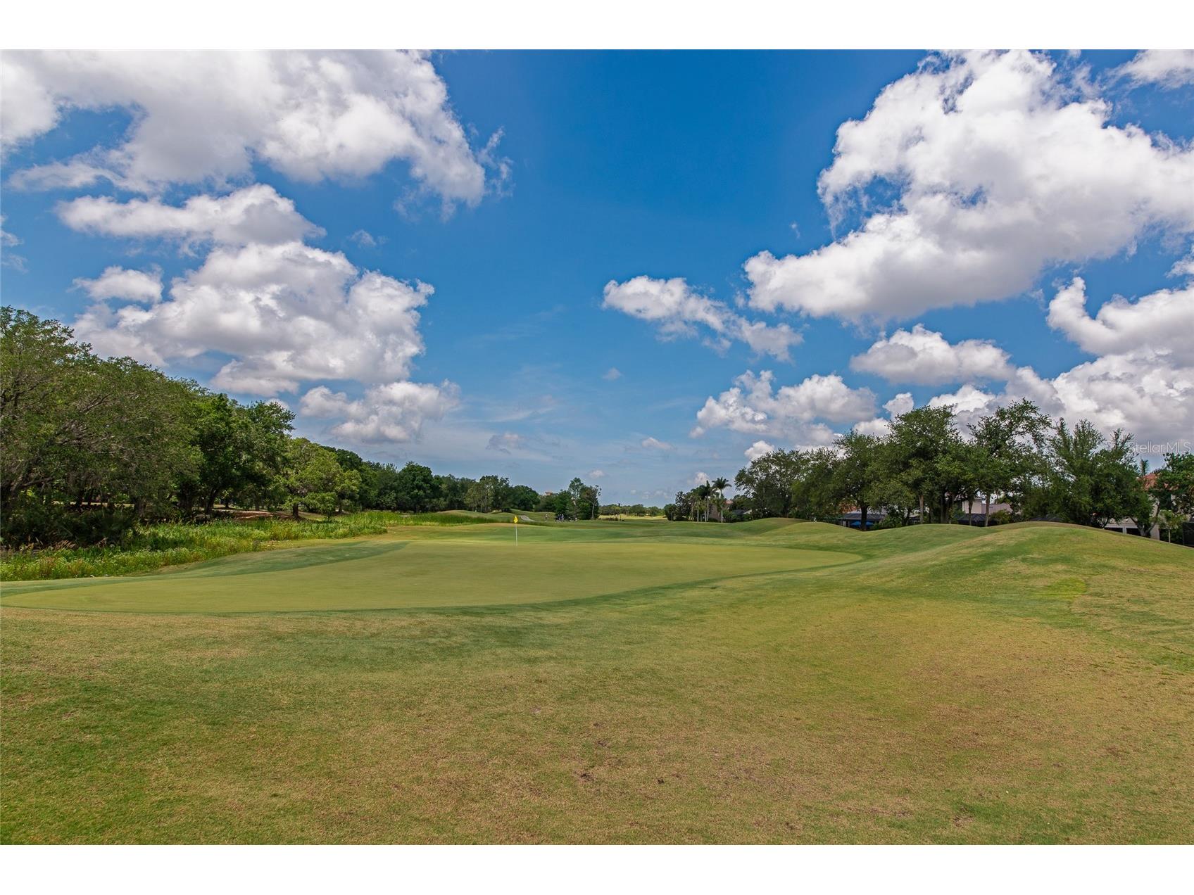 13804 Siena Loop Lakewood Ranch FL 34202 A4691647 image70