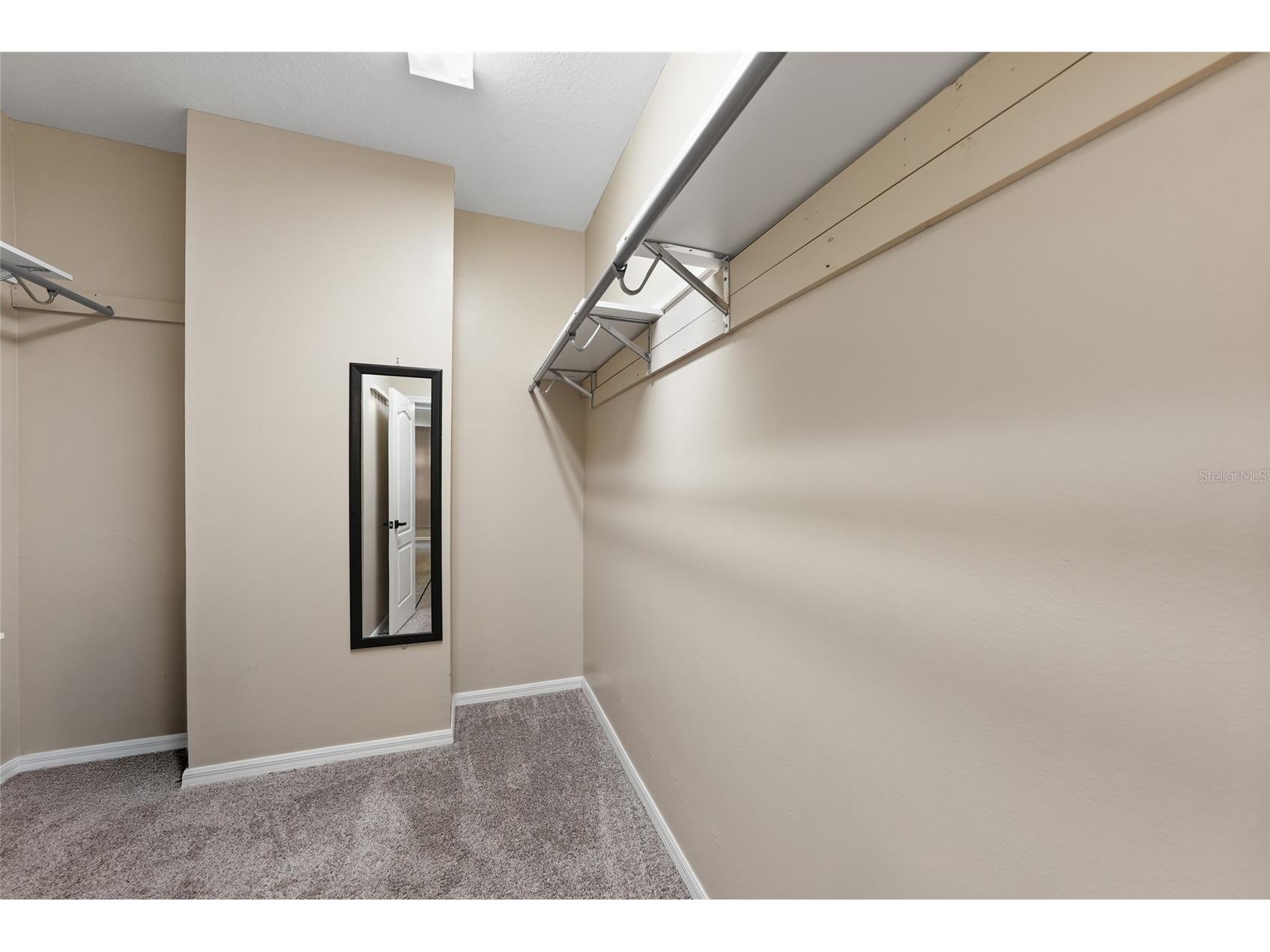 13804 Sigler Street Riverview FL 33579 TB8529354 image24