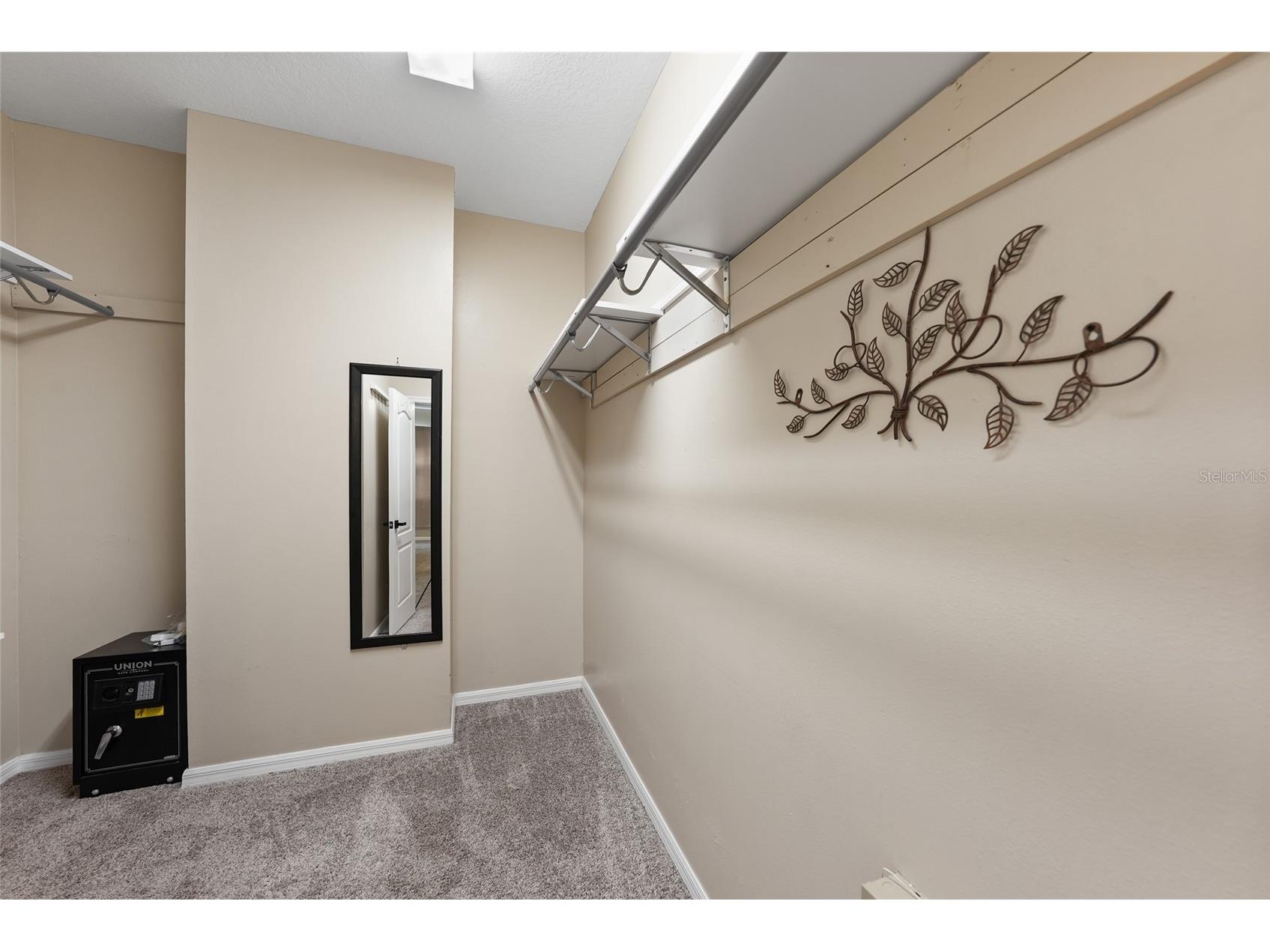 13804 Sigler Street Riverview FL 33579 TB8529354 image25