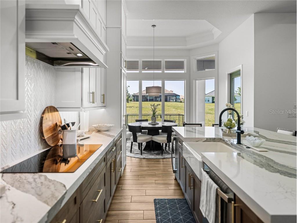 13805 Carryback Drive Dade City FL 33525 TB8377541 image23