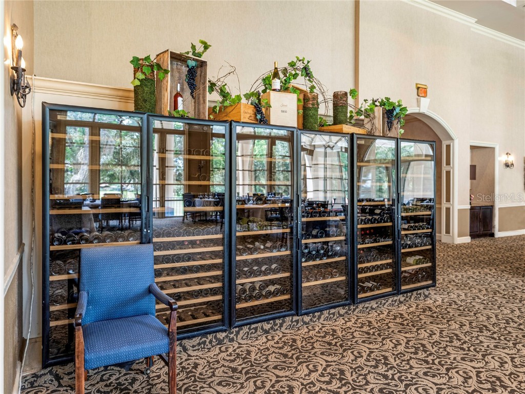 13805 Carryback Drive Dade City FL 33525 TB8377541 image73