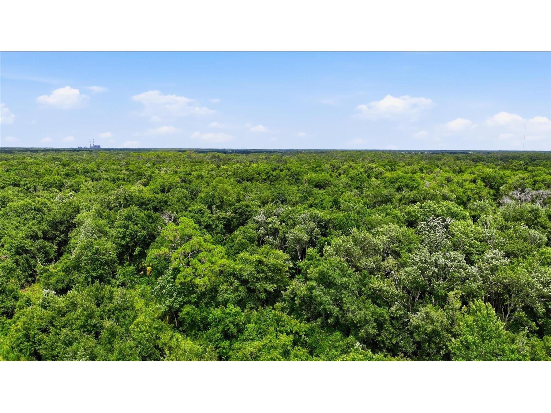 13805 County Road 675 Parrish FL 34219 A4697392 image10