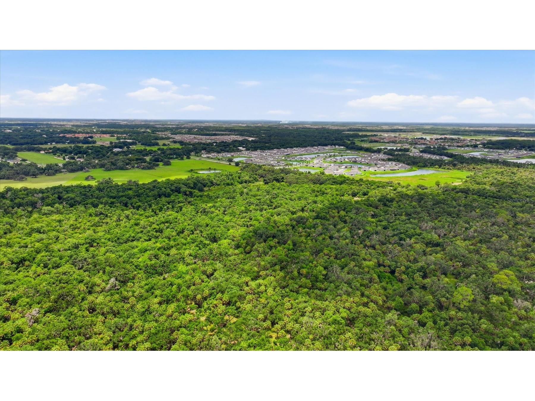 13805 County Road 675 Parrish FL 34219 A4697392 image22