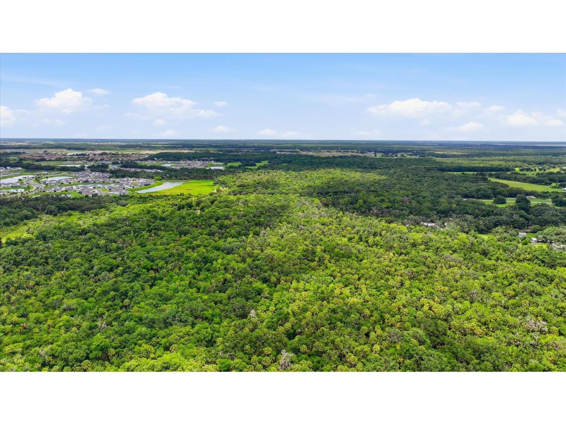 13805 County Road 675 Parrish FL 34219 A4697392 image23