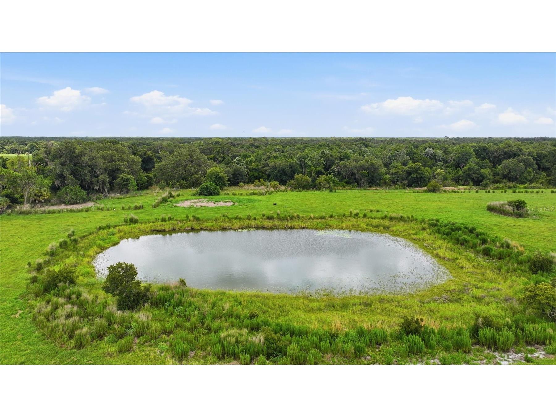13805 County Road 675 Parrish FL 34219 A4697392 image32
