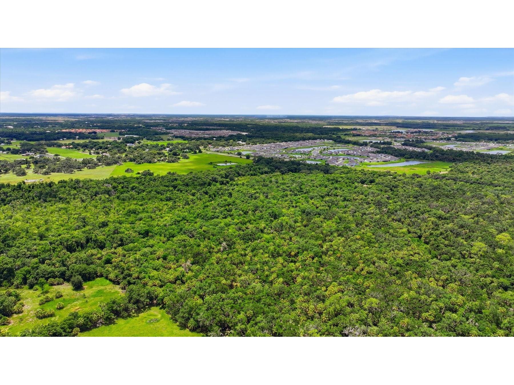 13805 County Road 675 Parrish FL 34219 A4697392 image49