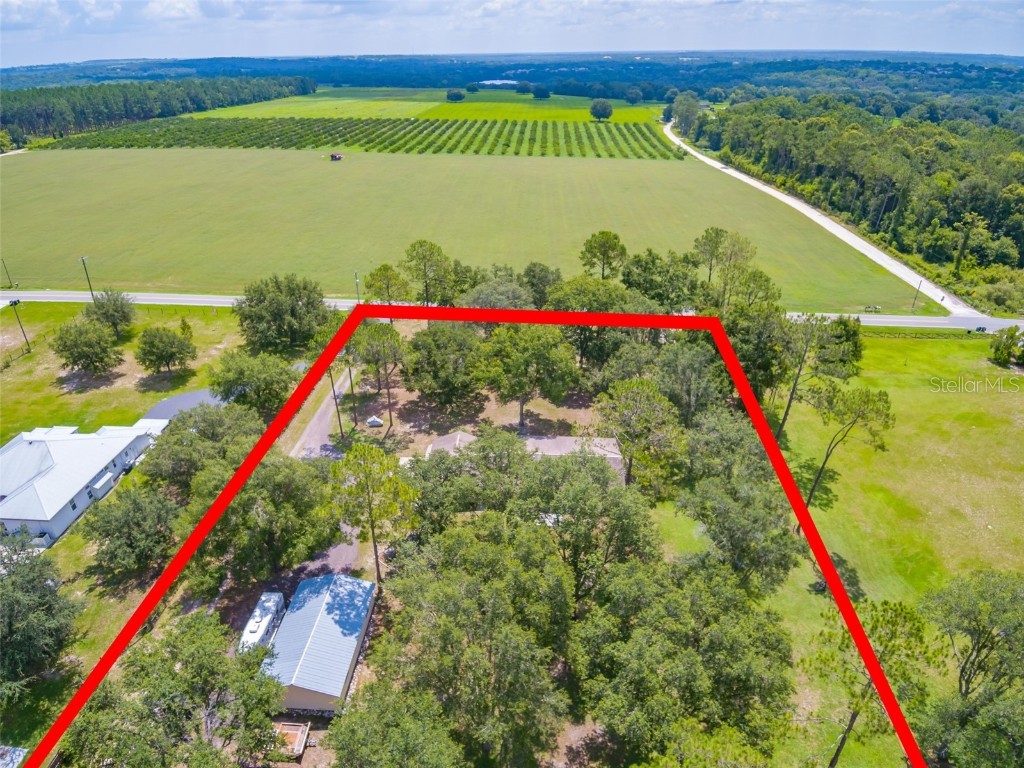 13805 Curley Road Dade City FL 33525 T3455896 image1