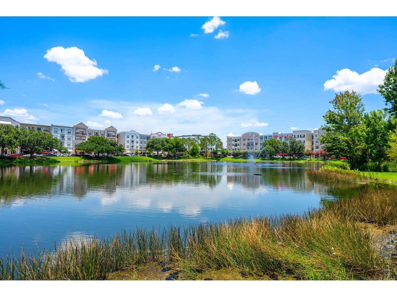 13805 Tea Rose Drive Orlando FL 32828 O6377053 image30