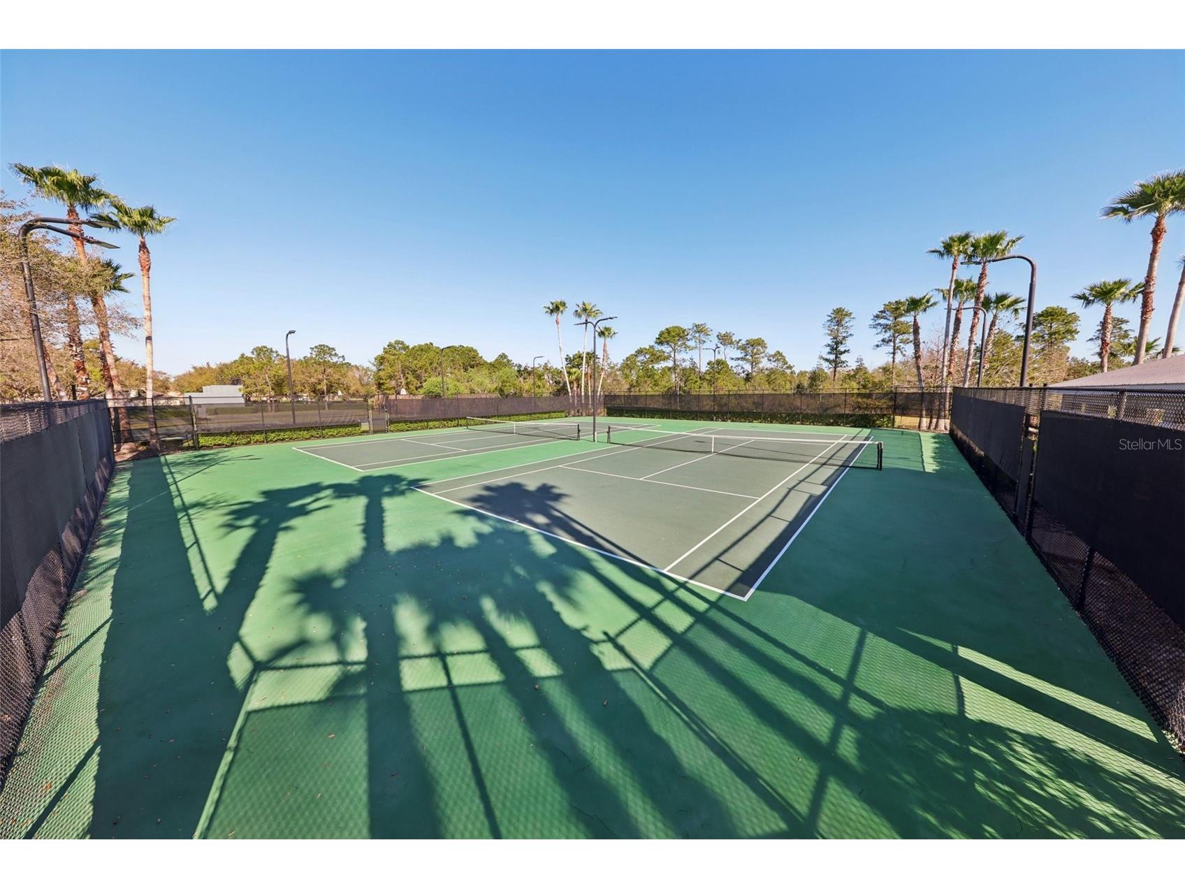 13805 Tea Rose Drive Orlando FL 32828 O6377053 image35