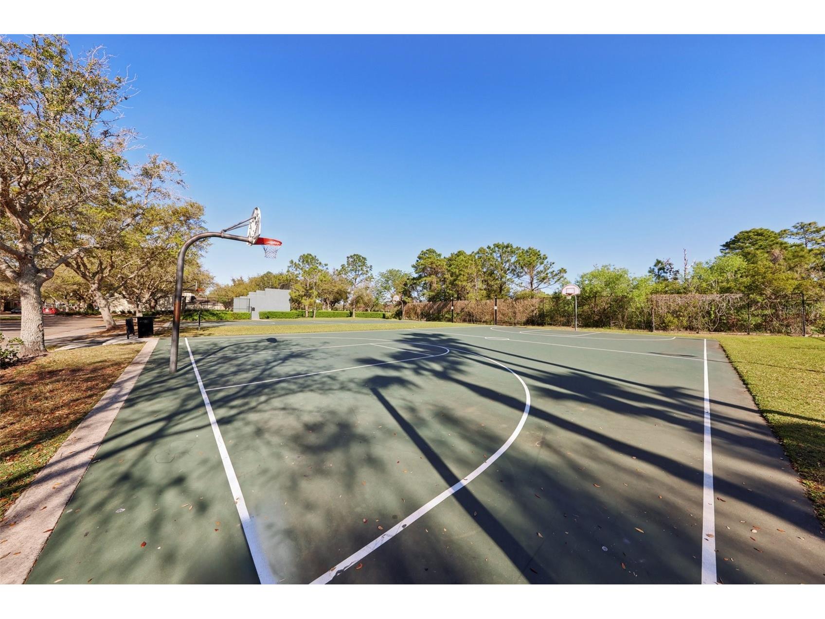 13805 Tea Rose Drive Orlando FL 32828 O6377053 image36