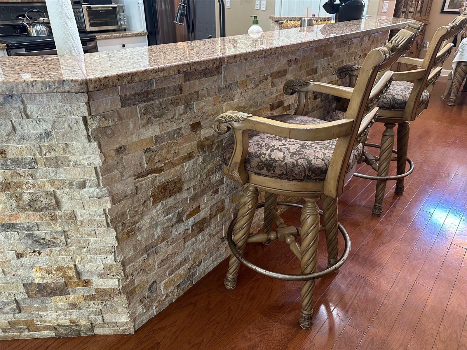 13807 Eagles Rock Court Hudson FL 34667 TB8461014 image22