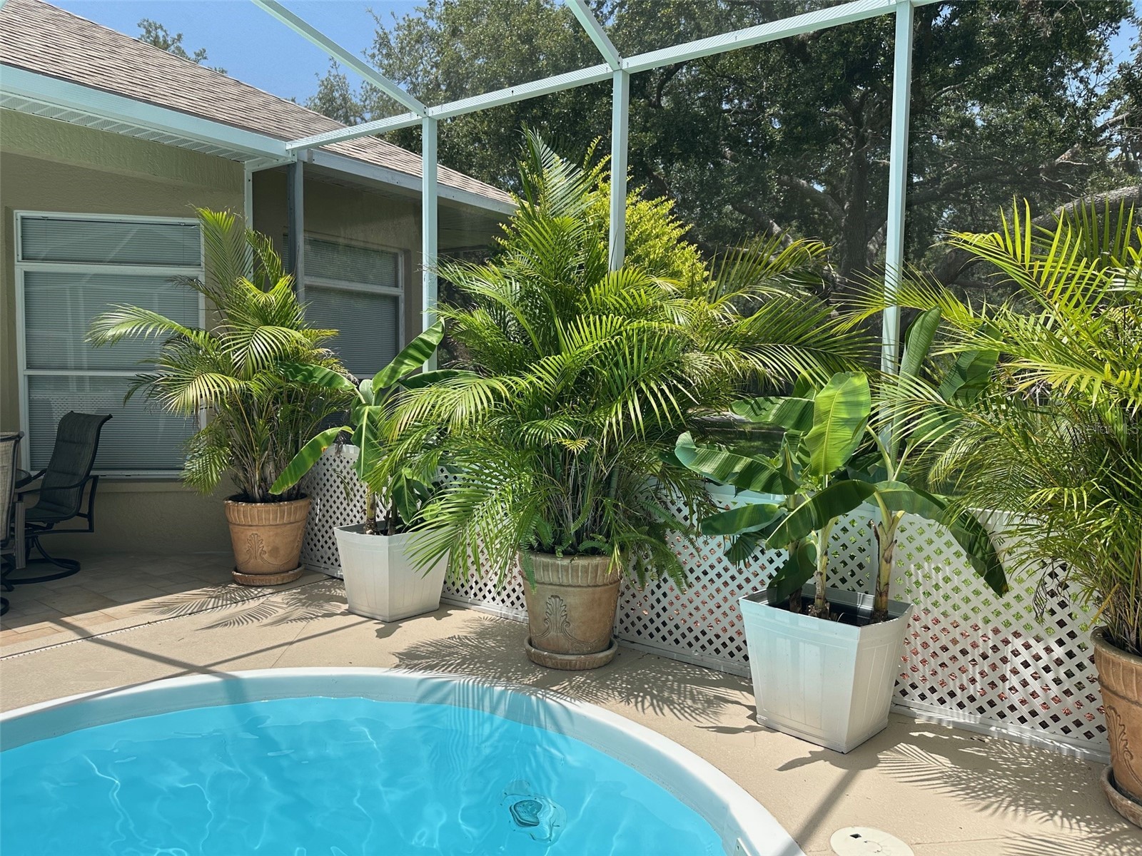 13807 Eagles Rock Court Hudson FL 34667 TB8461014 image52