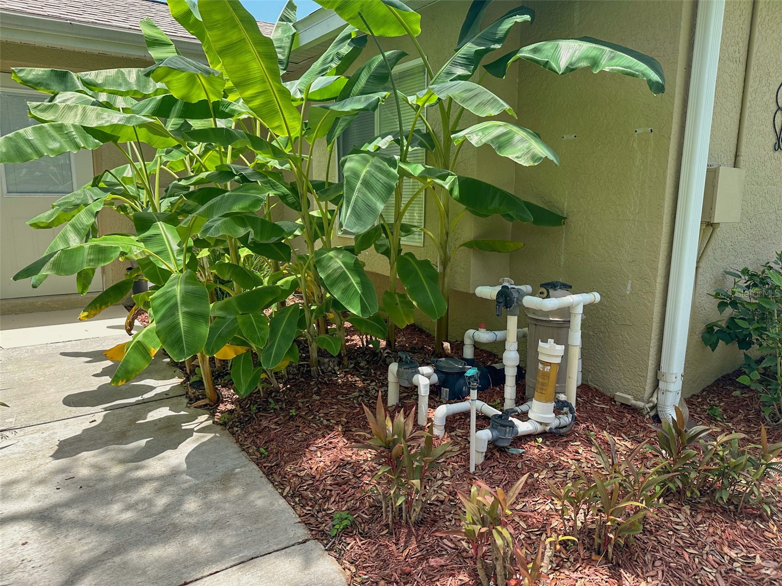 13807 Eagles Rock Court Hudson FL 34667 TB8461014 image60