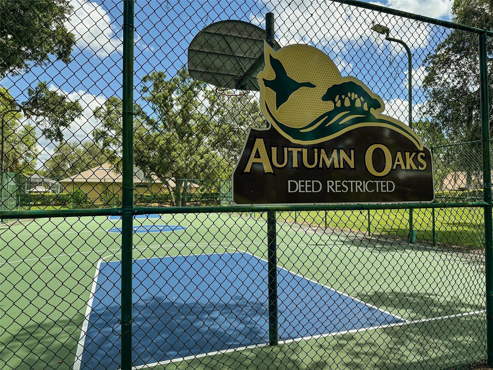 13807 Eagles Rock Court Hudson FL 34667 TB8461014 image87