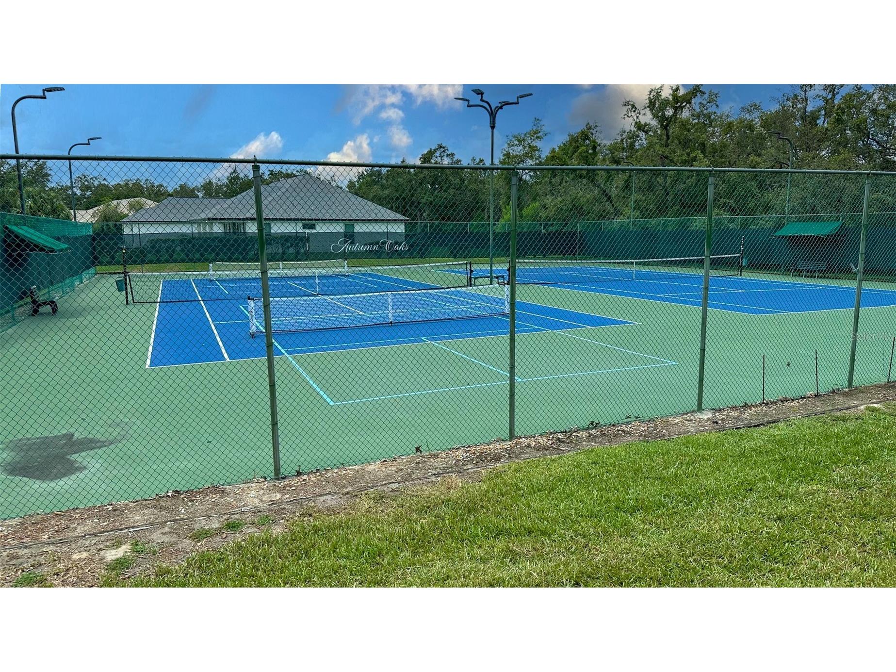 13807 Eagles Rock Court Hudson FL 34667 TB8461014 image91