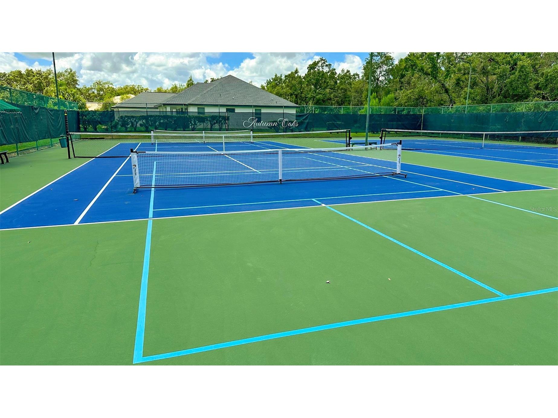 13807 Eagles Rock Court Hudson FL 34667 TB8461014 image92