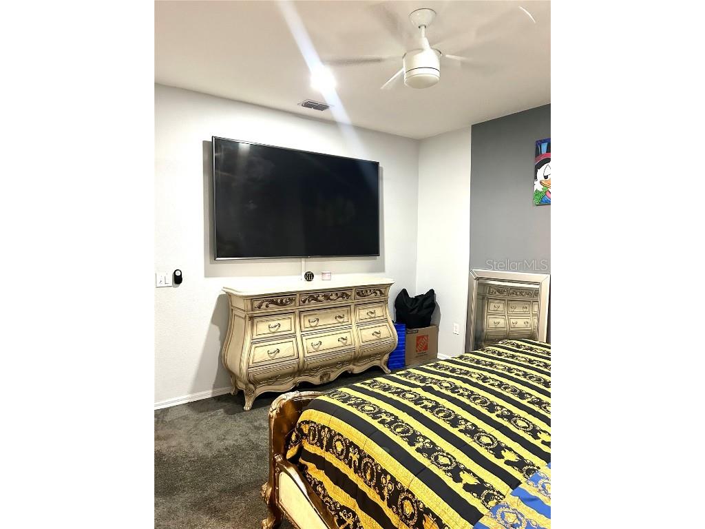 13809 Felix Will Road Riverview FL 33579 TB8437815 image10