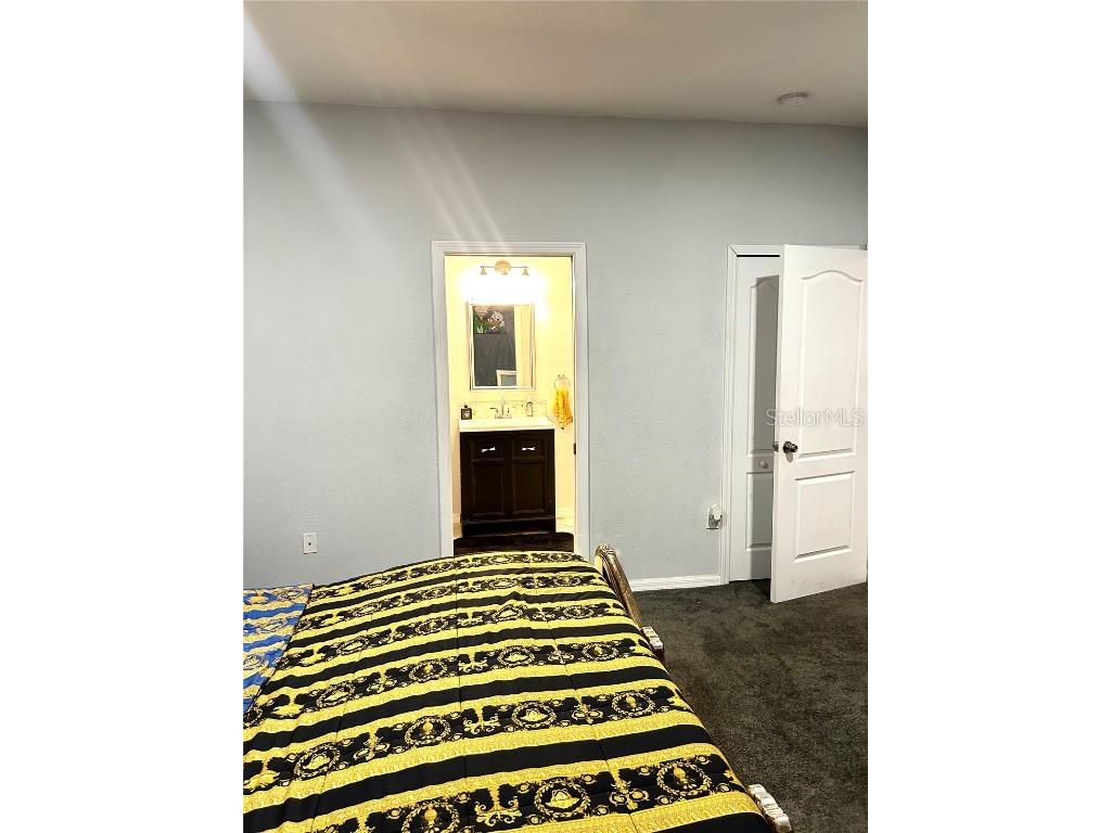 13809 Felix Will Road Riverview FL 33579 TB8437815 image11