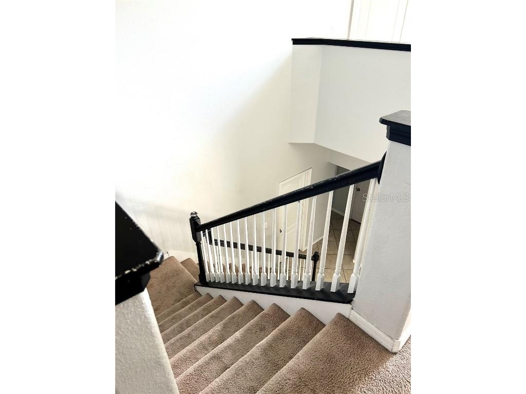 13809 Felix Will Road Riverview FL 33579 TB8437815 image27