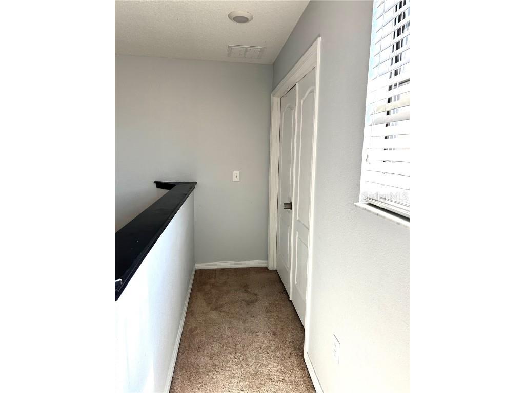 13809 Felix Will Road Riverview FL 33579 TB8437815 image28