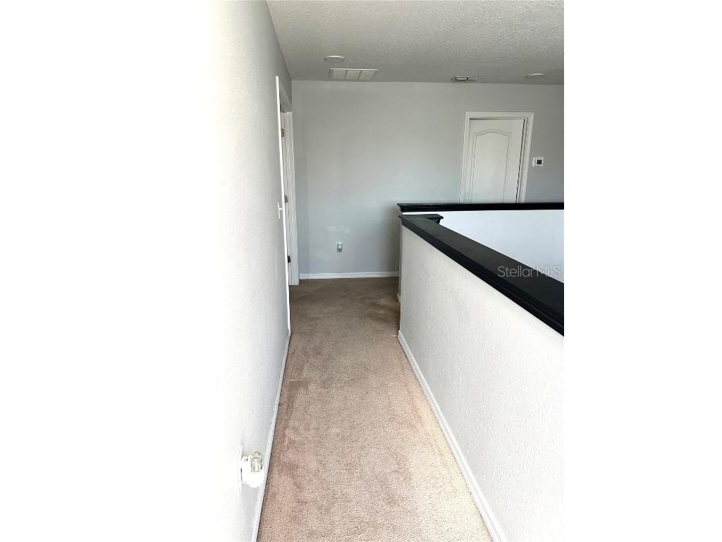 13809 Felix Will Road Riverview FL 33579 TB8437815 image29