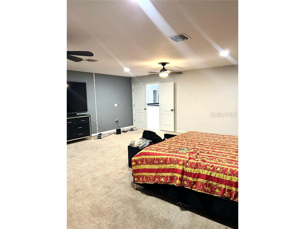 13809 Felix Will Road Riverview FL 33579 TB8437815 image30