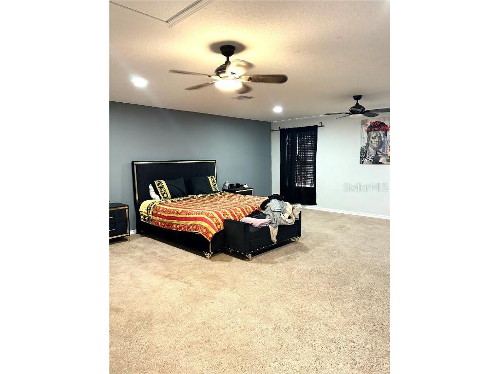 13809 Felix Will Road Riverview FL 33579 TB8437815 image31