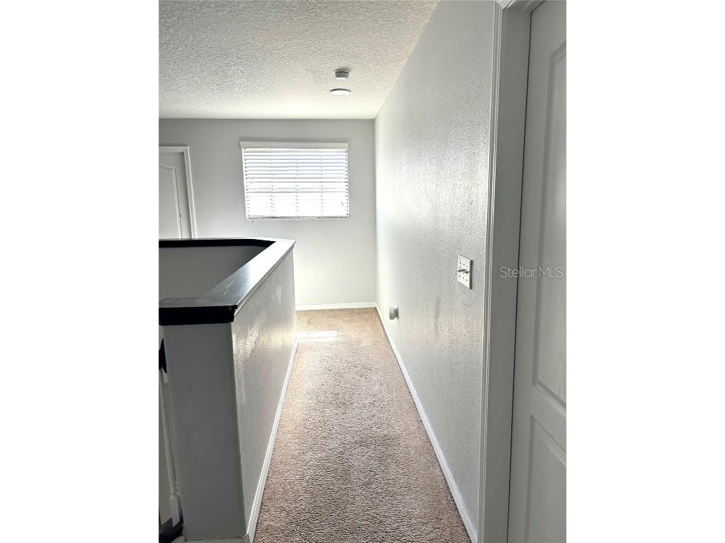 13809 Felix Will Road Riverview FL 33579 TB8437815 image33