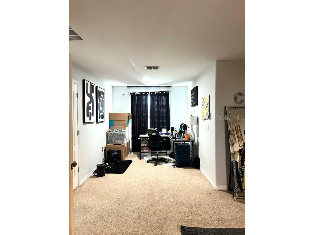 13809 Felix Will Road Riverview FL 33579 TB8437815 image34