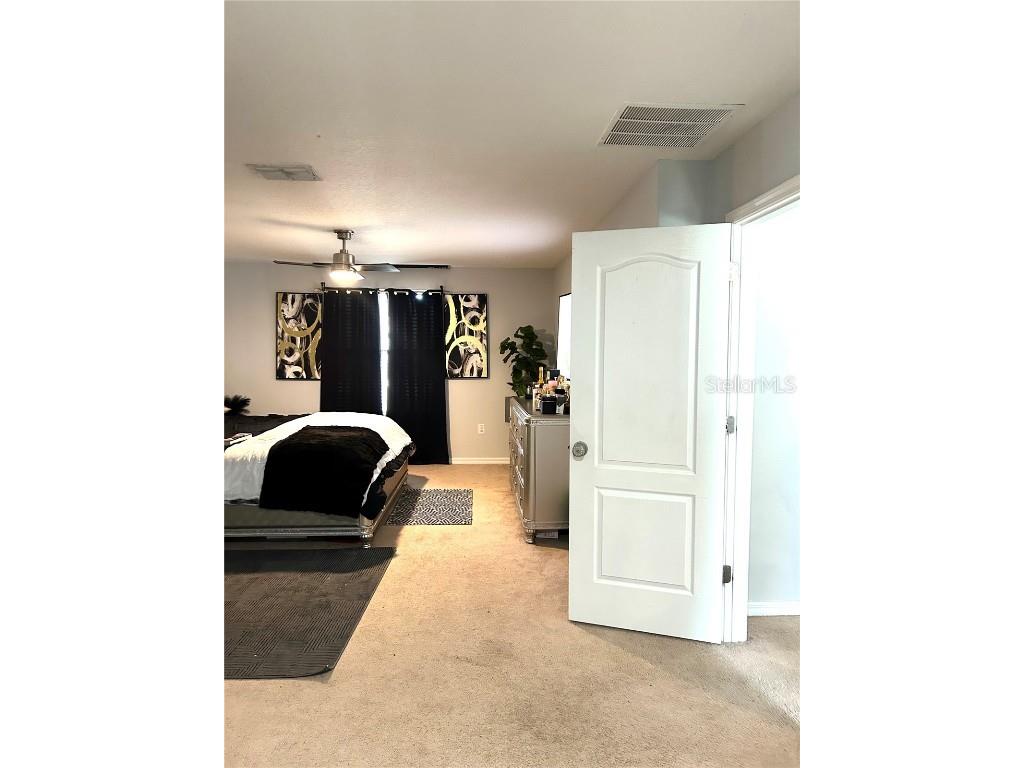 13809 Felix Will Road Riverview FL 33579 TB8437815 image35