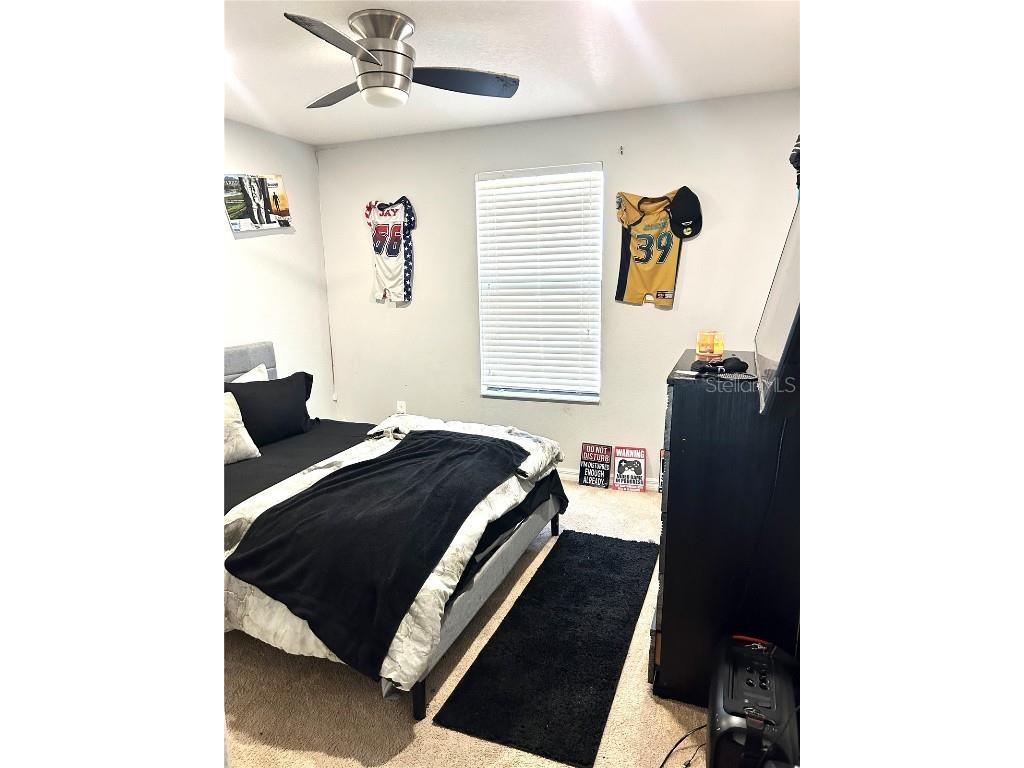 13809 Felix Will Road Riverview FL 33579 TB8437815 image36