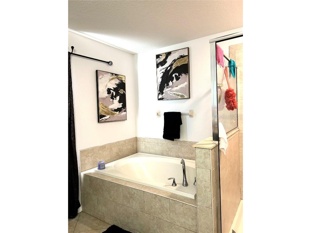 13809 Felix Will Road Riverview FL 33579 TB8437815 image41