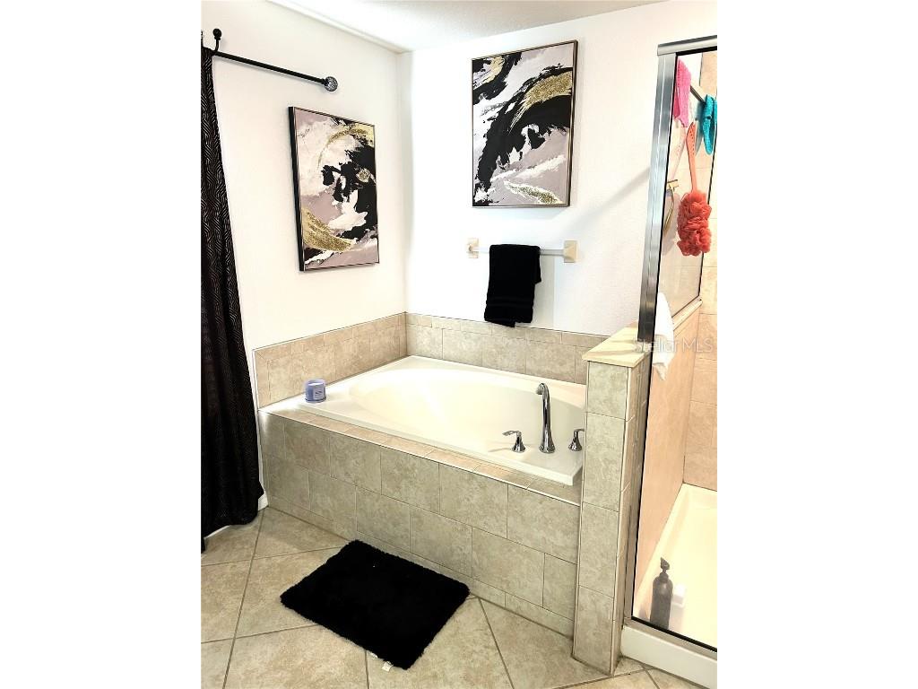 13809 Felix Will Road Riverview FL 33579 TB8437815 image43