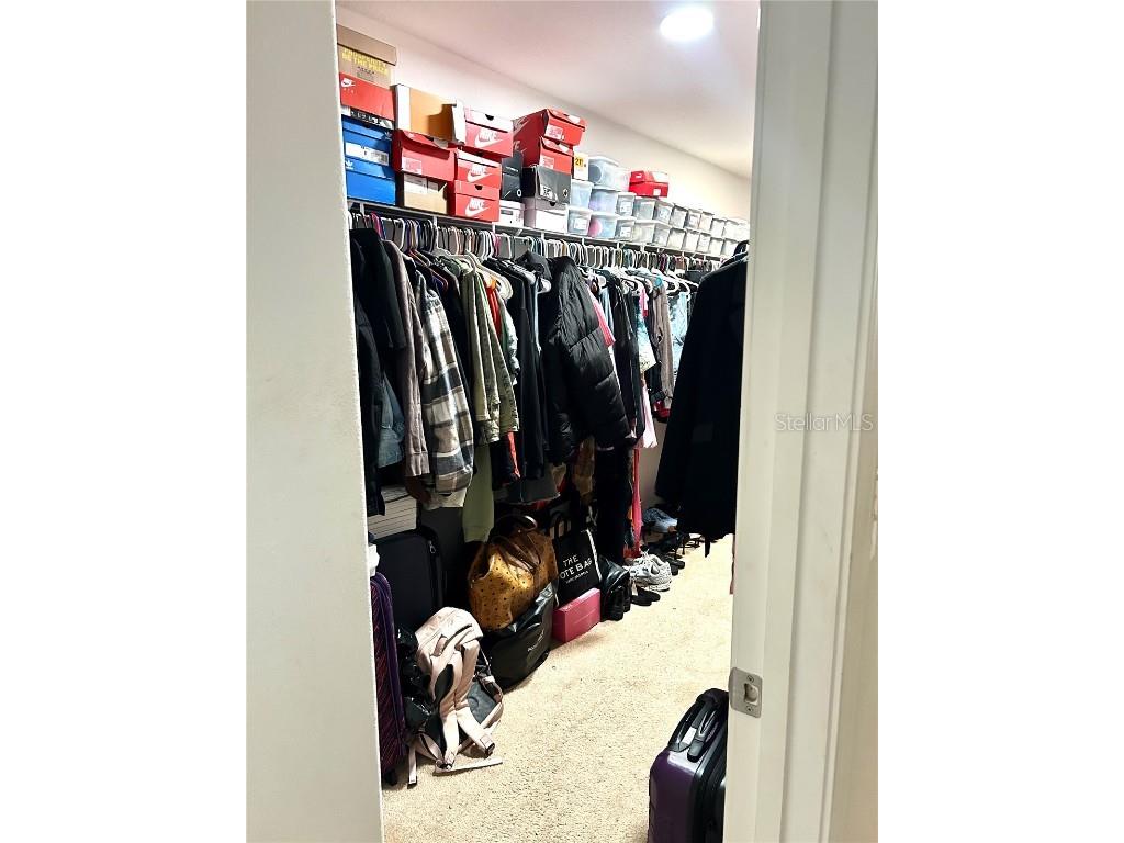 13809 Felix Will Road Riverview FL 33579 TB8437815 image45