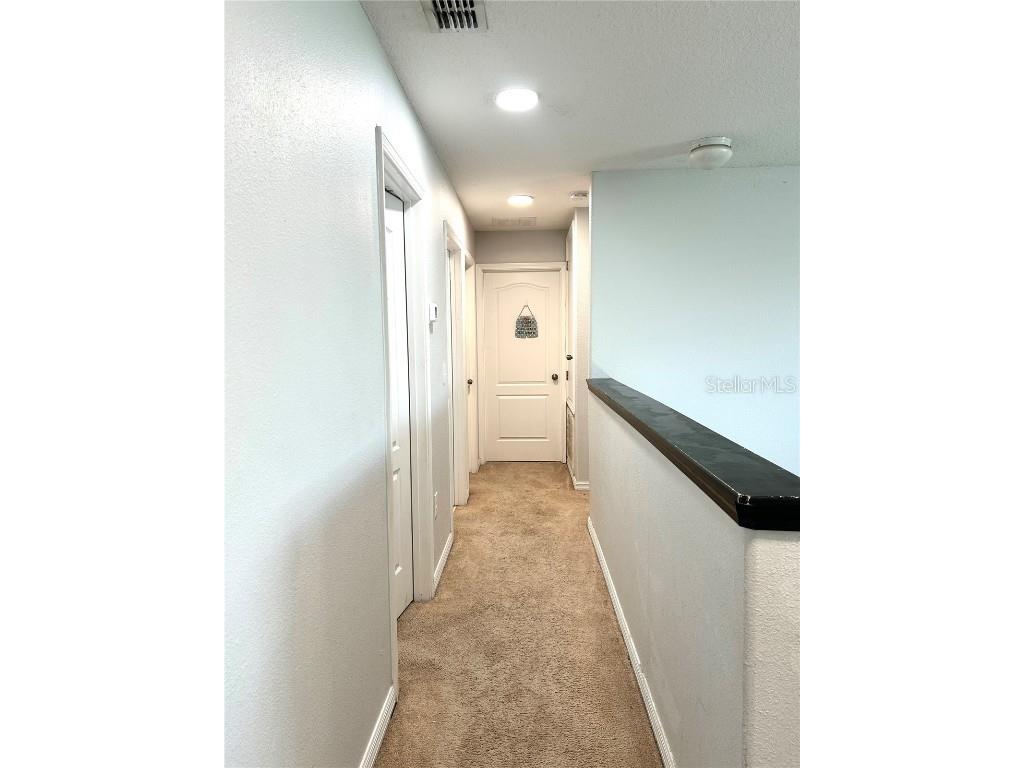 13809 Felix Will Road Riverview FL 33579 TB8437815 image46